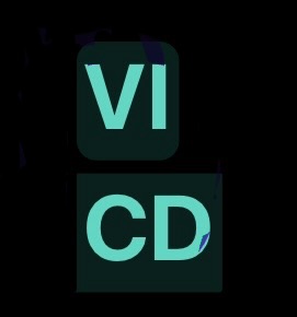 VI Career Development
